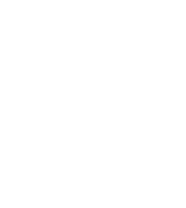 Client 11